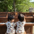 번풍목장 | 광주 송산목장 | 30개월 쌍둥이 아기 데리고 두번째 방문 후기