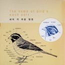 기초조형미술학원 - 동래구 명륜로 201 | 기초조형미술학원