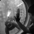 숨비소리 이미지