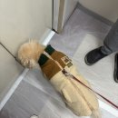 싸다김밥 등촌역점 이미지