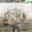 문화 비상-3호 이미지