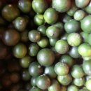 샘물농장 이미지