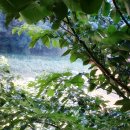 하늘마루 민박 이미지