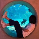 초양도주차장 이미지