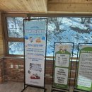 인형속으로 | 대관령 양떼목장 후기｜눈 속에서 만난 귀여운 양들 + 인형가게 쇼핑까지🐑❄️