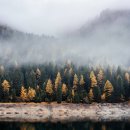 동일로+공인중개사사무소 이미지