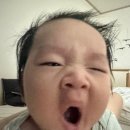 태인마트 | 배곧 롯데마트 문센 4개월아기 5개월아기 오감만족똘망이 솔직후기