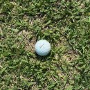 ⛳️ 서평택골프클럽 :: 18홀 PAR3 | 인도어 연습장 | 평일 예약 후기 | 수도권에서 가까운, 가성비 좋은...