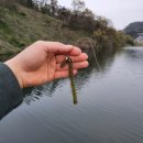 한림명동 이미지