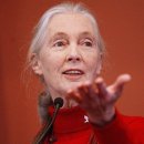 (주)푸른사료 이미지