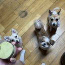 견생공방 이미지