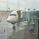 729 | 베트남 하노이 아시아나 인천 하노이 왕복항공 OZ729탑승 후기 (좌석,기내식,요금,수하물)