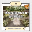 와이즈썬(wise sun) | 셀럽앤어셈 결혼식 본식 후기, 본식 꿀팁공유