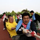 완도중학교 이미지