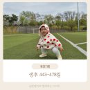 452 | 15개월 쪽쪽이 끊기 / 두번째 봄