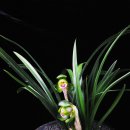 전원농약사 이미지