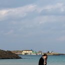 예스김밥카페 이미지