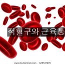 <11월 22일 > 적혈구와 근육통 이미지