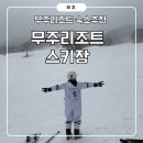 가족호텔 두솔동 | 무주리조트 스키장 - 폭설 온날 파우더 스노우 / 골드 객실 후기