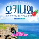 다연웰빙 | 2025년 2월 5일 수요일 출발!! 따뜻한 겨울여행 ♥에메랄드빛 여정 오키나와 4일♥