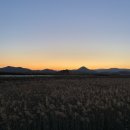 순천만습지 이미지