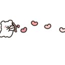 하이멍냥 강아지분양 고양이분양 서울본점 이미지