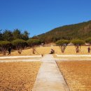 남해조경농원 이미지