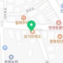 요거프레소함평점