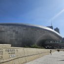 동대문디자인플라자(DDP) 무료 전시, UD 라이프스타일 플랫폼 방문 후기