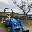 동건목장 이미지