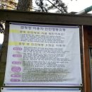 춘장대나드리캠핑장 이미지