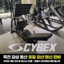헬스인더짐 이미지