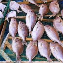 중앙식료시장 이미지