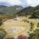 삶에 자연을 채우다 | [아리네고향: 굿밤] 정선의 자연주의 뜨개여행, 가을을 낭만으로 채우다 - 채지형