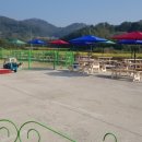 에코사료 이미지