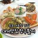 속초 대포항 횟집 항구활어 대게 D 코스 솔직 후기