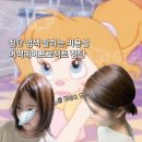 카페유달리첨단대라수점 | 첨단미용실 어맥헤어 첨단점 여름 밀크브라운 염색