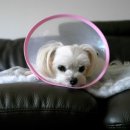 언주로7길 이미지