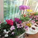 장미찻집 이미지