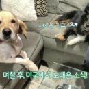 친구가 될 동물병원 이미지