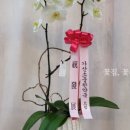 새서울DMC약국 이미지