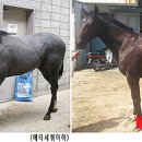 정남진 축산 이미지