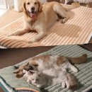 (주)헵스 이미지