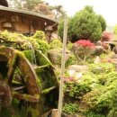 토속맛집 이미지