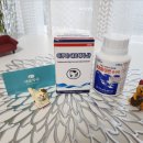 송탄 서정리 동물약국 이미지