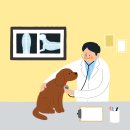그랜드동물병원 이미지