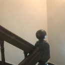 호텔드비노 이미지