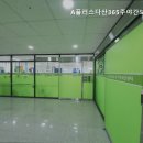 플러스365( 365)