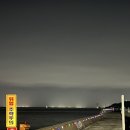 제주 판포포구 야경 협재 해수욕장 야경 솔직후기!!! 서귀포 오설록 티뮤지엄 금능 해수욕장
