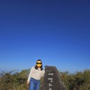 파란마을영농조합법인 이미지